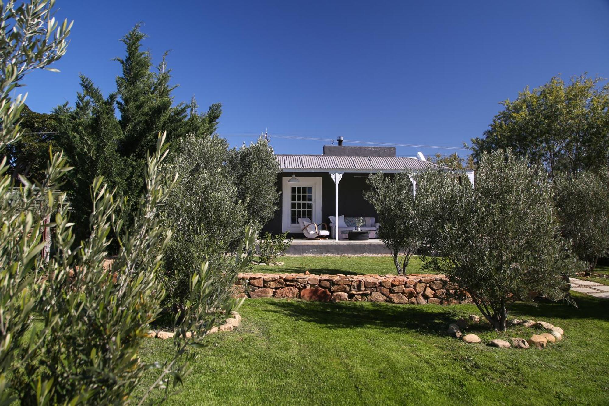 Готель Olive Grove House Прінс-Альберт Екстер'єр фото